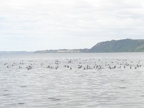 1094544